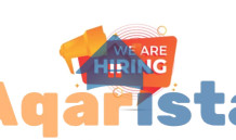 Hiring For developer company senior sales indirect.